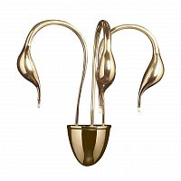 бра lightstar cigno collo 751632 в Пятигорске