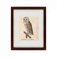 картина: one owl, 1560 в Пятигорске
