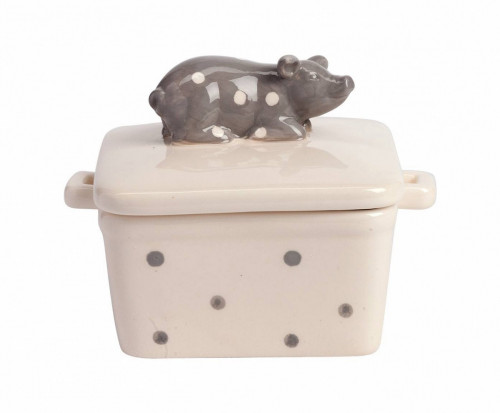 емкость для хранения с крышкой dot pig в Пятигорске