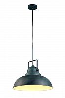 подвесной светильник arte lamp martin a5213sp-1bg в Пятигорске