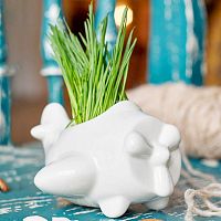 набор для выращивания eco самолет в Пятигорске