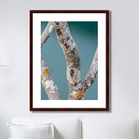 картина: trees on the galapagos islands, ecuador no3 в Пятигорске