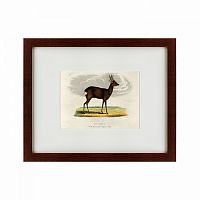 картина: a roebuck, 1830 в Пятигорске