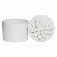 шкатулка для украшений white ii - н* в Пятигорске