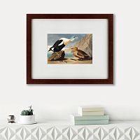 картина: king duck, 1827 в Пятигорске