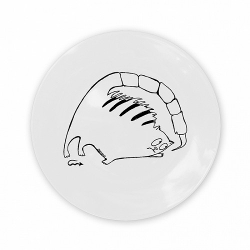 тарелка кот-скорпион в Пятигорске