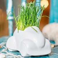 набор для выращивания eco машина в Пятигорске