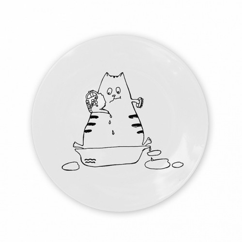 тарелка кот-водолей в Пятигорске