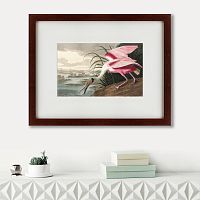 картина: roseate spoonbill, 1827 в Пятигорске