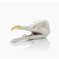 шкатулка для украшений bird skull (белый) в Пятигорске