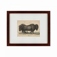 картина: bison, 1828 в Пятигорске