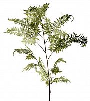 декор fl12056 (giant fern) в Пятигорске