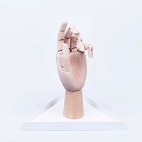 органайзер для украшений the hand белый в Пятигорске