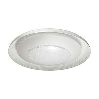 потолочный светодиодный светильник odeon light benso 4623/48cl в Пятигорске