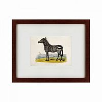 картина: a zebra, 1830 в Пятигорске