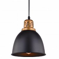 подвесной светильник arte lamp eurica a4245sp-1bk в Пятигорске