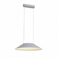 подвесной светодиодный светильник st luce pitto sl427.513.01 в Пятигорске