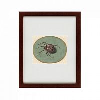 картина: spider, 1690 в Пятигорске