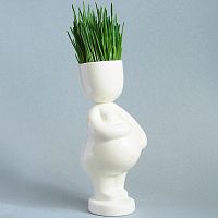 набор для выращивания eco мама в Пятигорске