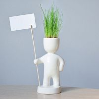 набор для выращивания eco знаменосец в Пятигорске