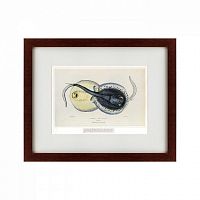 картина: spotted ray, 1829 в Пятигорске