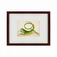 картина: green iguana, 1701 в Пятигорске