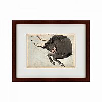 картина: signs of zodiac taurus, 1825 в Пятигорске