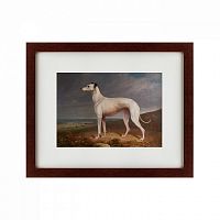 картина: portrait of a greyhound, 1744 в Пятигорске