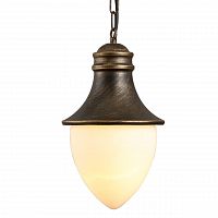 уличный подвесной светильник arte lamp vienna a1317so-1bn в Пятигорске