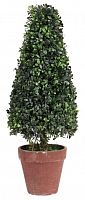 искусственное дерево в горшке topiary в Пятигорске