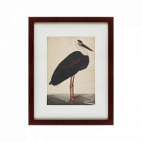 картина: black stork in a landscape, индия, 1780 в Пятигорске