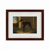 картина: portrait of a greyhound called pompon, 1746 в Пятигорске