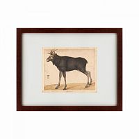 картина: moose, 1560 в Пятигорске