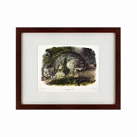 картина: the big cats of north america, 1840 в Пятигорске