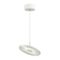 подвесной светодиодный светильник odeon light ellen 4107/12l в Пятигорске