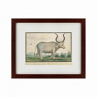 картина: cape ox, 1778 в Пятигорске