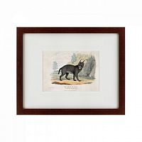 картина: a caracal or lynx, 1830 в Пятигорске