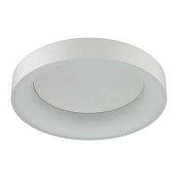 потолочный светодиодный светильник odeon light sole 4062/50cl в Пятигорске