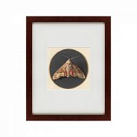 картина: owlet moth, 1700 в Пятигорске