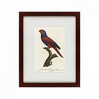 картина: perruche a chaperon bleu, 1801 в Пятигорске